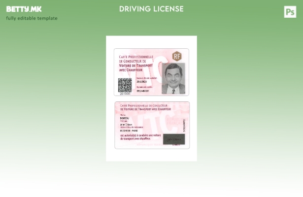 Шаблон за професионална возачка картичка во модерен стил на Франција